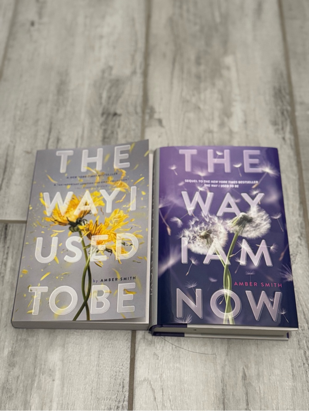 the way i used to be and the way i am now by amber smith